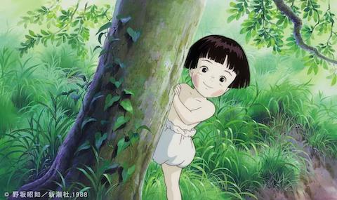 映画 火垂るの墓 のネタバレやあらすじ 結末 ラスト を暴露 知ると怖い 火垂る の意味 シネパラ